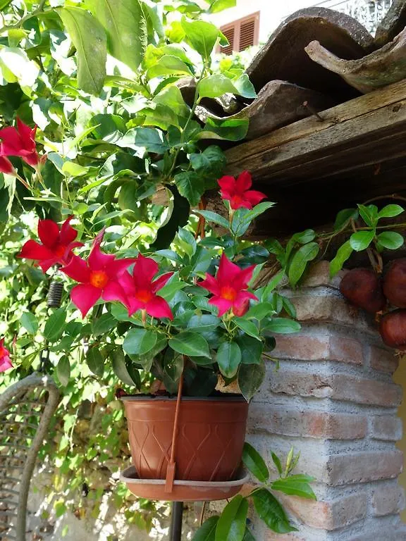 B&B Giulia Taormina 3*,