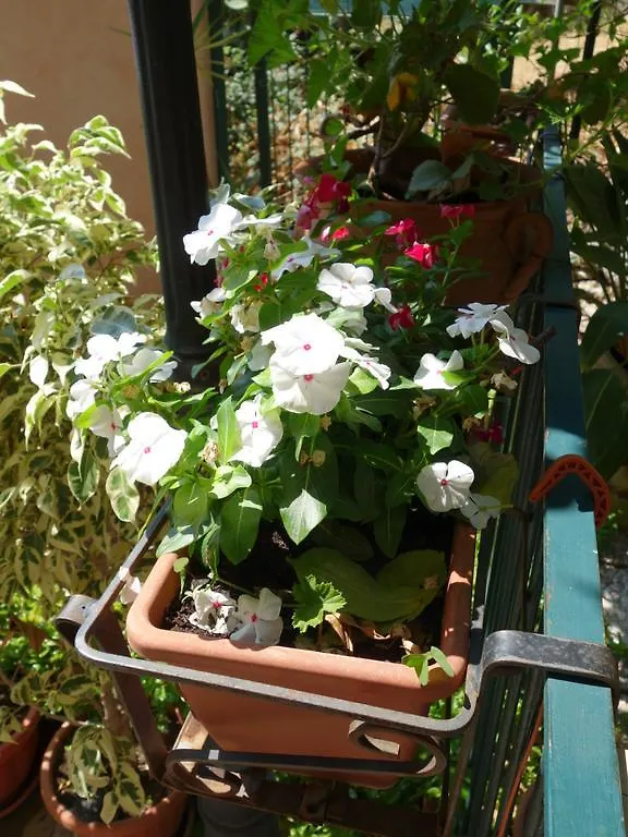 טאורמינה B&B Giulia איטליה